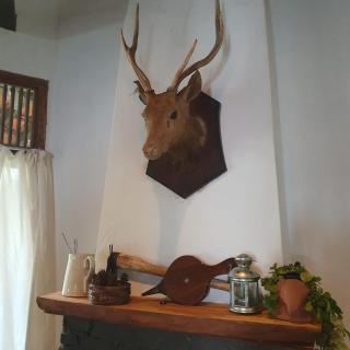 Kartika Lodge - Bengkok - 2