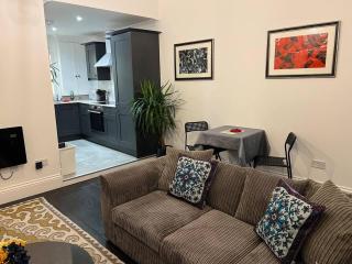 Modern and Spacious 2 Bedroom Flat near Shoreditch - London - 0