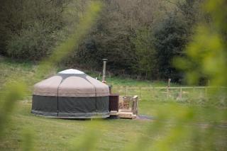Black Pig Retreats Luxury Glamping - Shaftesbury - 7