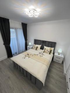 Avanera Sunny Apartments - Suceava - 1