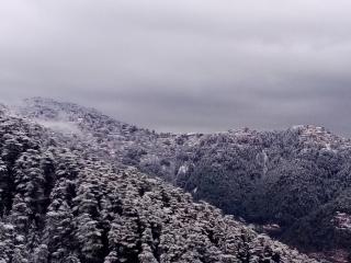 Shimla Regency - Shimla - 8