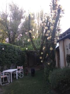 Casitas del Cerro - 8