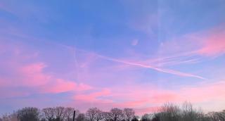 Lillibelles lodge,Oak tree farm - Ashford - 9