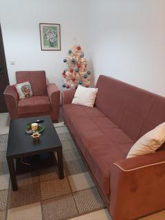 Apricot garden - 9