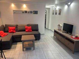 Le Tonneliers - bel appartement au centre Mulhouse - Mulhouse - 1