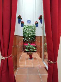 WISH SUITE MAGDALENA - Sevilla - 1