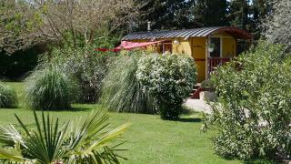 MAS MAURANE-Roulotte avec SPA privé aux portes d'ARLES - Tarascon - 6