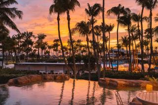 Hilton Aruba Caribbean Resort & Casino - Palm-Eagle Beach - 6