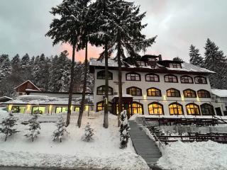 Cerbul Chalét Accommodation & Wellness - Rîşnov - 8