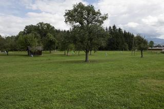 Schindelbacherhof - Spielberg - 3