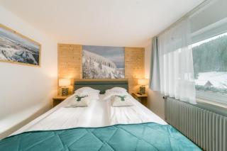 Black Forest Dream Apartments - Feldberg - 5