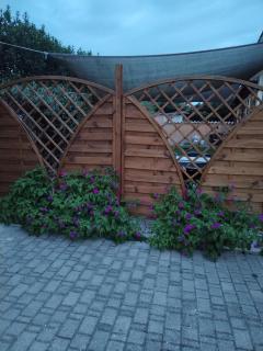 Home Fiumicino Airport - 5