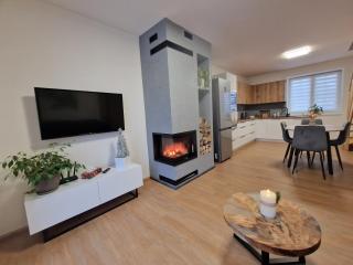 Rodinný dům u rybníka v blízkosti Olomouce - Hlušovice - 5