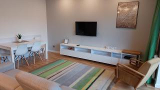 Apartament Robinia z miejscem parkingowym - Toruń - 5
