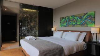 Ladera Boutique Hotel - Santiago - 8