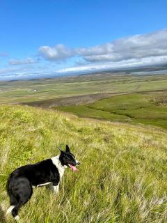 Syðri-Þverá - Hvammstangi - 3