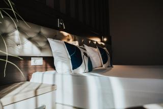 Business Hotel Plovdiv - Central Location - Plovdiv - 6