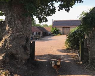 Cosy Stable at Oak Farm - Usk - 7