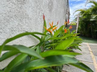 Cosy 2 bedrooms apts in Pereybere -Seasons Break Apartment - Pereybere - 6