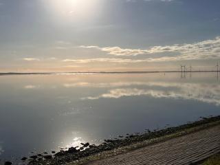 genieten aan de Zeeuwse kust - Burgh Haamstede - 2