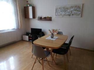 Apartmán Jáchymov Krušné hory - Jáchymov - 9