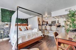 The Hemingway subtropical luxury on the Tampa Bay - 2