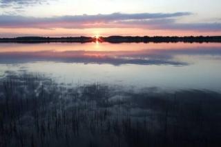 Away in the County-Sandbanks Pec - Cherry Valley - 4