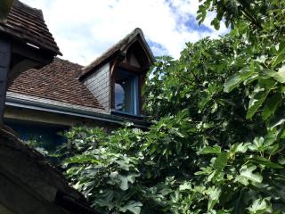 La Maison Bleue de Husseau Ancienne ferme semi-troglodytique 18e siècle - 1