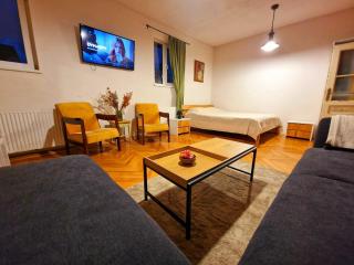 Nomad Apartment Braşov - Braşov - 8