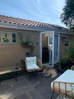 The chalet - Chandlers Ford - 0