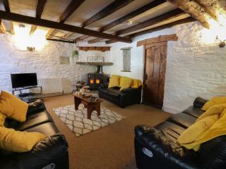 Y Cartws - Llanybydder - 9