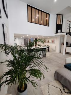 Beautiful apartments & Loft in Beziers center - 5