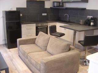 Appartement touristique, proche de la cathédrale - Albi - 8