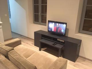 Appartement touristique, proche de la cathédrale - Albi - 2