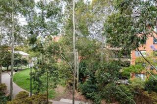 Treetops Erskineville Apartment w Parking & Aircon - Sydney - 2