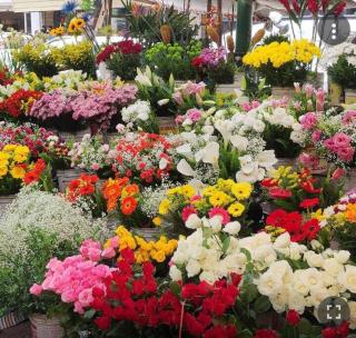 Apto no melhor ponto de Ipanema! - 4