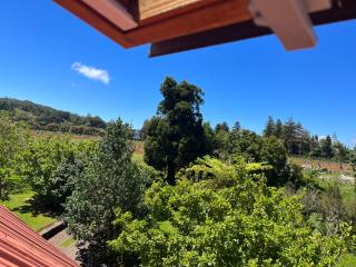 Bio Quinta do Pantano, Agro Turismo - 3