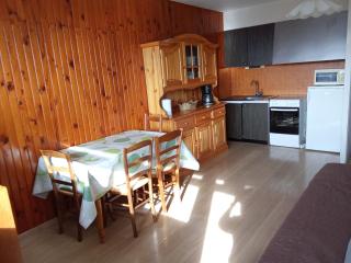 Appartement plein cœur Super-Besse - Besse-et-Saint-Anastaise - 3