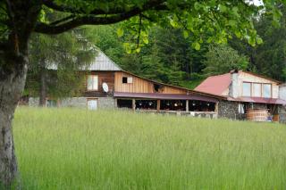 Cabana Virful Muntelui - Cîmpeni - 4