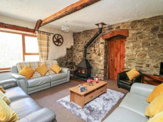 Y Felin - Llanybydder - 8