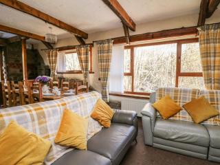 Y Felin - Llanybydder - 7
