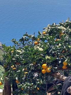 Casa Orizzonte - Amalfi - 2