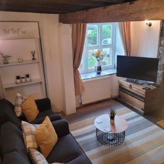 Cosy modern cottage by the sea, heart of snowdonia - Llwyngwril - 7