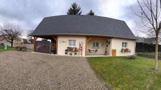 Gîte Cosy L'Ecrin du Ried PROCHE EUROPA-PARK - Artolsheim - 9
