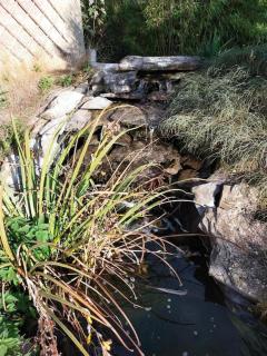 La maison aux escargots *Jacuzzi* - 4