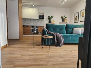 URBAN APARTMENTS PREMIUM, Opolska 10 No 67A, Free Garage, Self Check-in - Katowice - 7