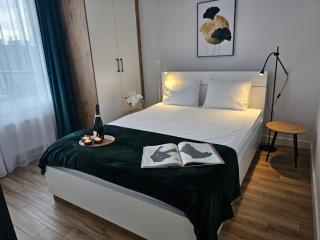 URBAN APARTMENTS PREMIUM, Opolska 10 No 67A, Free Garage, Self Check-in - Katowice - 2