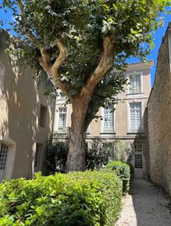 Superbe appartement rénové et cosy à 10mn de Saint-Rémy de Provence - Noves - 6