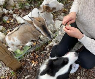 Gite de Claire Fontaine avec vue sur Monflanquin - 2