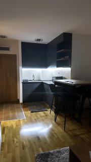 Silver Wolf SPA & relax - Zlatibor - 9